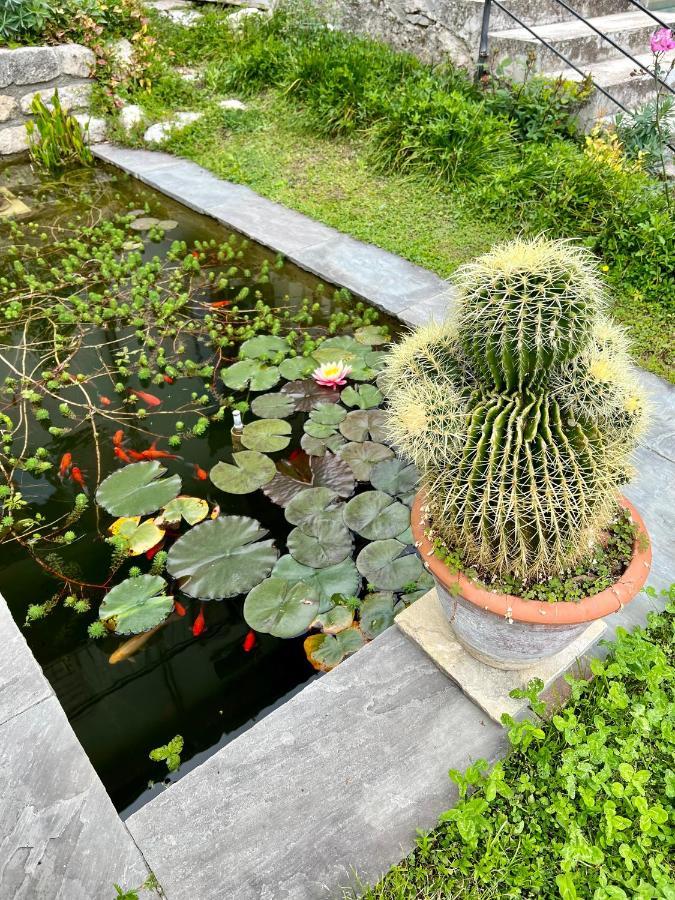 Villa Del Lis Gargnano Kültér fotó